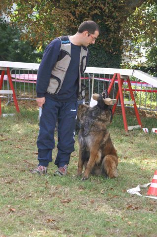 foire-haricots 2011-09-17et18